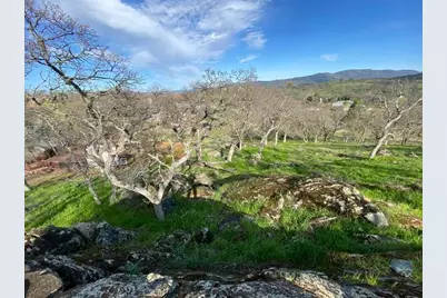 4241 Grisham Road, Valley Springs, CA 95252 - Photo 14