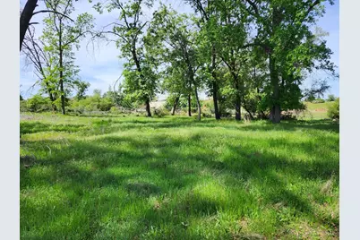 10006 Wendell Road, Mountain Ranch, CA 95246 - Photo 10