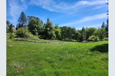 10006 Wendell Road, Mountain Ranch, CA 95246 - Photo 8
