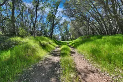 20229 Troost Trail, North San Juan, CA 95960 - Photo 36