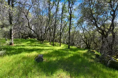 20229 Troost Trail, North San Juan, CA 95960 - Photo 32