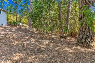 24240 Gold Circle Drive, Pioneer, CA 95666 - Photo 42