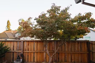 8731 Freesia Dr, Elk Grove, CA 95624 - Photo 44