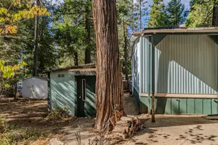 Prospect Pl, Pioneer, CA 95666 - Photo 36