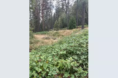 478 Carol Drive, Grass Valley, CA 95945 - Photo 4