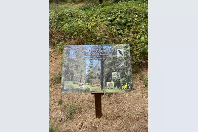 478 Carol Drive, Grass Valley, CA 95945 - Photo 10