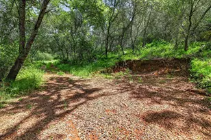 4830 Creekside Dr, Shingle Springs, CA 95682 - Photo 46