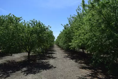 6547 County Road 48, Willows, CA 95988 - Photo 12