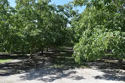 3669 County Road U, Orland, CA 95963 - Photo 76