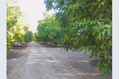 0 Clark Road, Live Oak, CA 95953 - Photo 4