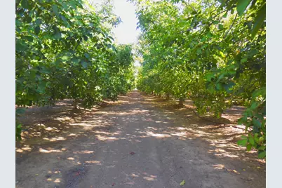 0 Clark Road, Live Oak, CA 95953 - Photo 8