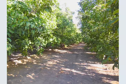 0 Clark Road, Live Oak, CA 95953 - Photo 1