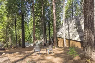 3715 Ben Thorn Dr, Camp Connell, CA 95223 - Photo 28