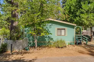 Prospect Pl, Pioneer, CA 95666 - Photo 42