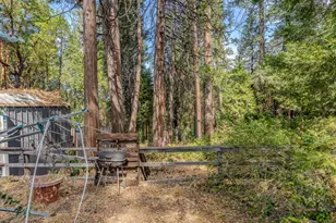 Prospect Pl, Pioneer, CA 95666 - Photo 8