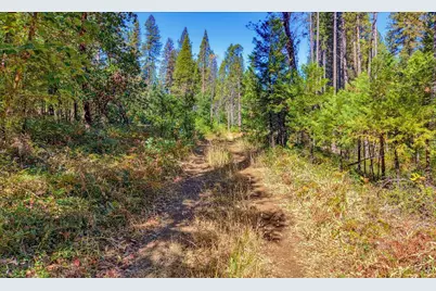 13492 Gracie Road, Nevada City, CA 95959 - Photo 2