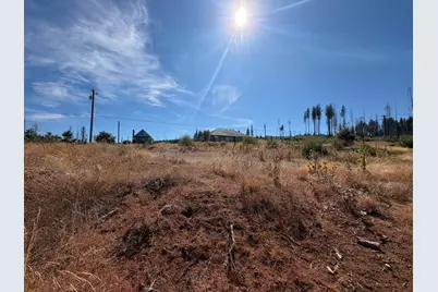 5132 Golden Aspen, Grizzly Flats, CA 95636 - Photo 12