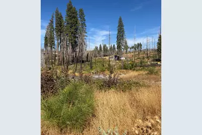 5132 Golden Aspen, Grizzly Flats, CA 95636 - Photo 14