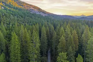 11098 Zeibright Rd, Nevada City, CA 95959 - Photo 40