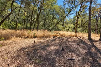 1001 Old Airport, Auburn, CA 95603 - Photo 2