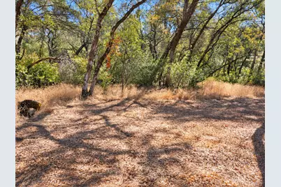 1001 Old Airport, Auburn, CA 95603 - Photo 8