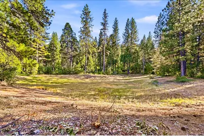 14855 Red Dog Road, Nevada City, CA 95959 - Photo 86