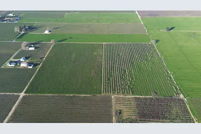 0 Locust Tree Road, Lodi, CA 95240 - Photo 4