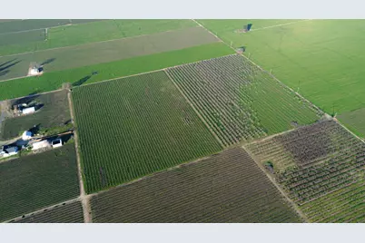 0 Locust Tree Road, Lodi, CA 95240 - Photo 14