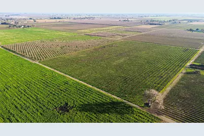 0 Locust Tree Road, Lodi, CA 95240 - Photo 4