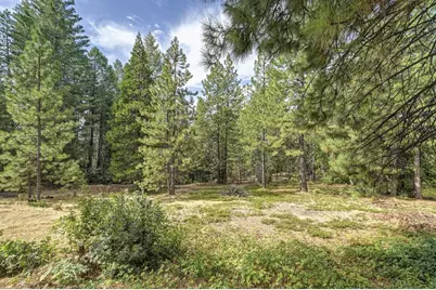 2590 Christmas Tree Lane, Georgetown, CA 95634 - Photo 70