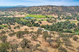 10823 Peoria Rd, Browns Valley, CA 95918 - Photo 60