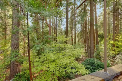 13361 Red Dog Road, Nevada City, CA 95959 - Photo 26