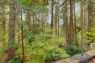13361 Red Dog Rd, Nevada City, CA 95959 - Photo 26