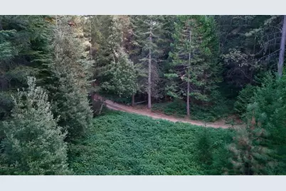 10466 N Camptonville, Camptonville, CA 95922 - Photo 8