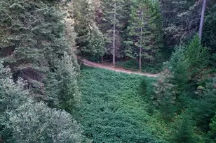 10466 N Camptonville, Camptonville, CA 95922 - Photo 1