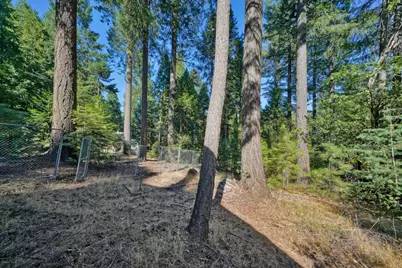 5900 Quick Silver Road, Pollock Pines, CA 95726 - Photo 44