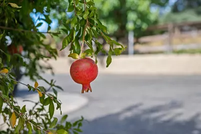 8071 Milnes Avenue, Roseville, CA 95747 - Photo 56