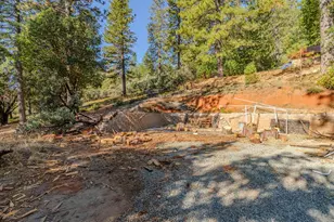 19051 N Mace Dr, Pioneer, CA 95666 - Photo 10
