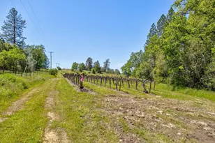 13320 Oakstream Rd, Plymouth, CA 95669 - Photo 70