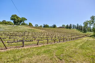 13320 Oakstream Rd, Plymouth, CA 95669 - Photo 64