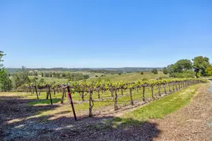 13320 Oakstream Rd, Plymouth, CA 95669 - Photo 62
