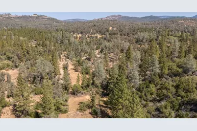 9040 Sheep Ranch Road, Mountain Ranch, CA 95246 - Photo 46