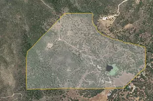 9040 Sheep Ranch Rd, Mountain Ranch, CA 95246 - Photo 20