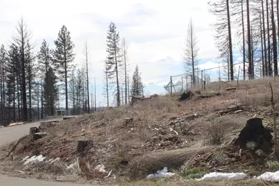 4944 Deerwood Drive, Grizzly Flats, CA 95636 - Photo 20