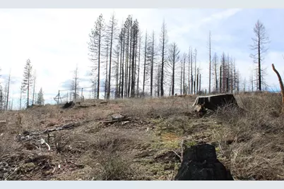 4944 Deerwood Drive, Grizzly Flats, CA 95636 - Photo 12