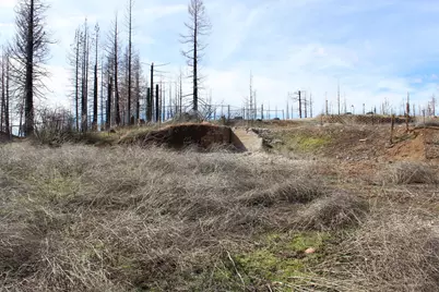 4944 Deerwood Drive, Grizzly Flats, CA 95636 - Photo 8