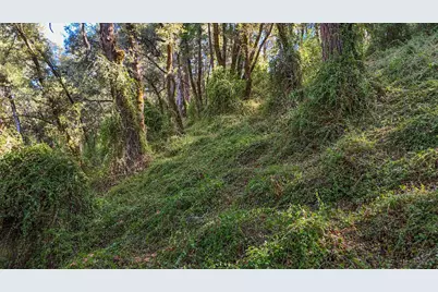 4644 State Highway 193, Greenwood, CA 95635 - Photo 40