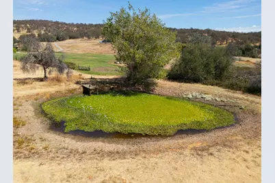 5164 La Porte Road, Bangor, CA 95901 - Photo 32