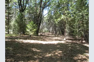 11199 Golden Oaks Court, Nevada City, CA 95959 - Photo 4