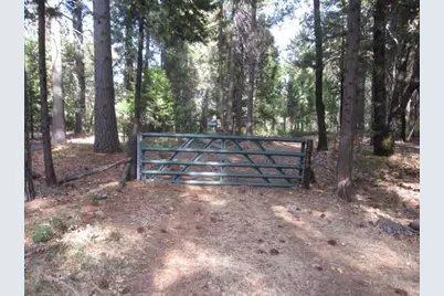 11199 Golden Oaks Court, Nevada City, CA 95959 - Photo 2